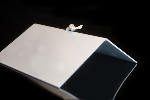 Regenschutzdach für Vogelfutterstellen in Größe L (25 x 15 cm)